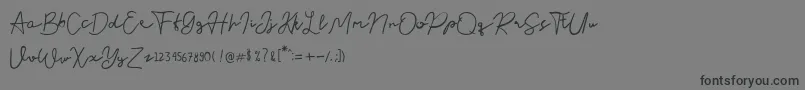 Шрифт Nusapenida Signature – чёрные шрифты на сером фоне