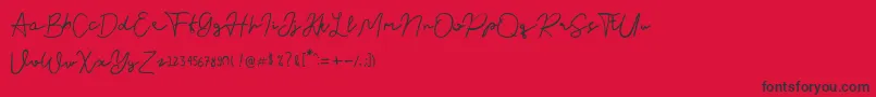 Nusapenida Signature Font – Black Fonts on Red Background