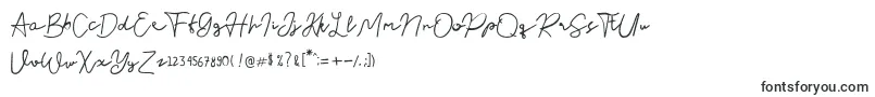 Nusapenida Signature-fontti – Alkavat N:lla olevat fontit