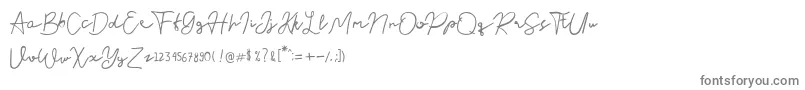 En savoir plus sur la police Nusapenida Signature Police Nusapenida Signature – polices grises