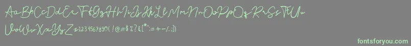 Czcionka Nusapenida Signature – zielone czcionki na szarym tle