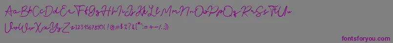 Nusapenida Signature Font – Purple Fonts on Gray Background