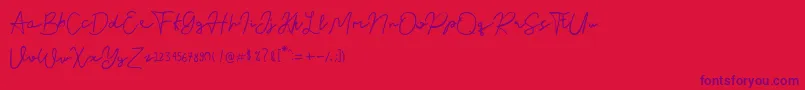 Nusapenida Signature Font – Purple Fonts on Red Background