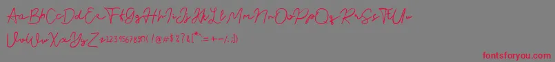 Nusapenida Signature-fontti – punaiset fontit harmaalla taustalla