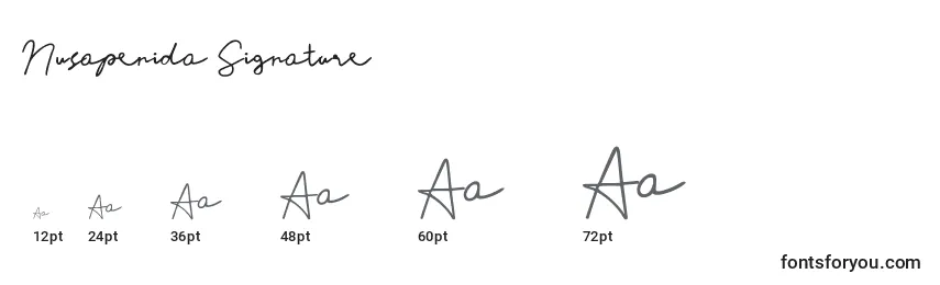 Размеры шрифта Nusapenida Signature