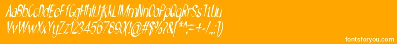 NYOEHOKA ITALIC Font – White Fonts on Orange Background