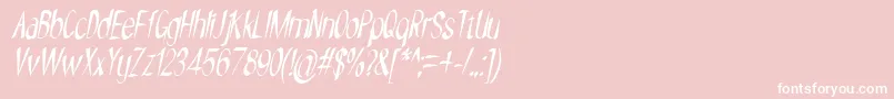 NYOEHOKA ITALIC Font – White Fonts on Pink Background