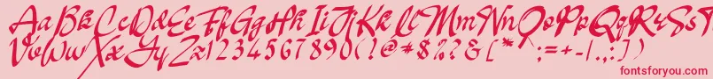 Oakland Font – Red Fonts on Pink Background