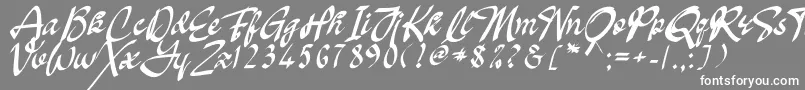 Oakland Font – White Fonts on Gray Background