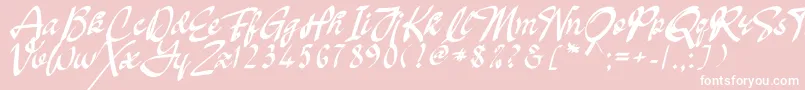 フォントOakland – ピンクの背景に白い文字