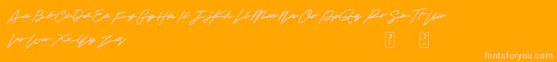 Obey Signature Font – Pink Fonts on Orange Background