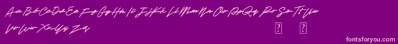 Obey Signature Font – Pink Fonts on Purple Background