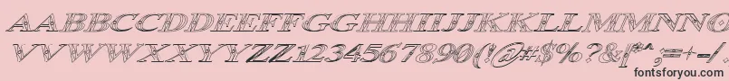 Occoluchi Italic Outline-Schriftart – Schwarze Schriften auf rosa Hintergrund