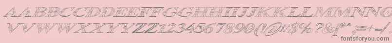 Occoluchi Italic Outline-Schriftart – Graue Schriften auf rosa Hintergrund