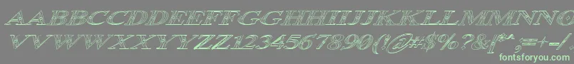 Occoluchi Italic Outline-Schriftart – Grüne Schriften auf grauem Hintergrund