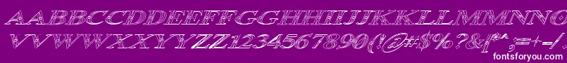 Police Occoluchi Italic Outline – polices blanches sur fond violet