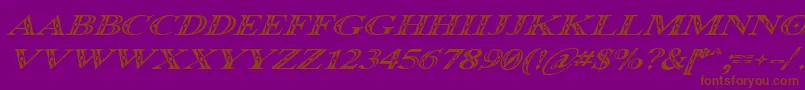 Czcionka Occoluchi Italic – brązowe czcionki na fioletowym tle