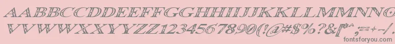 Occoluchi Italic Font – Gray Fonts on Pink Background