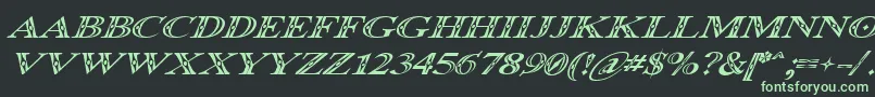 Occoluchi Italic Font – Green Fonts on Black Background