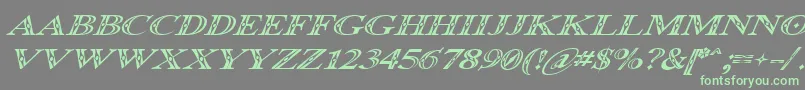 Occoluchi Italicフォントについての詳細 フォントOccoluchi Italic – 灰色の背景に緑のフォント