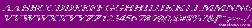 Occoluchi Italic-Schriftart – Grüne Schriften auf violettem Hintergrund