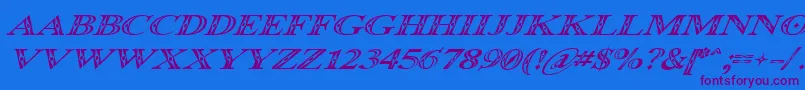 Occoluchi Italic-Schriftart – Violette Schriften auf blauem Hintergrund