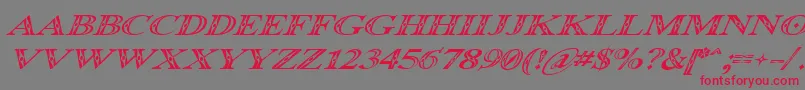 Occoluchi Italic-Schriftart – Rote Schriften auf grauem Hintergrund