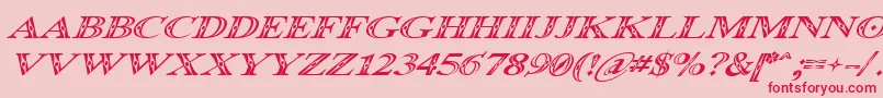 Occoluchi Italic-Schriftart – Rote Schriften auf rosa Hintergrund