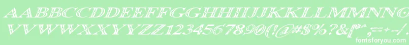 Occoluchi Italic Font – White Fonts on Green Background