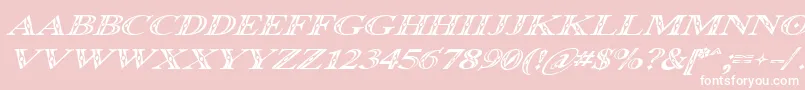 Occoluchi Italic-Schriftart – Weiße Schriften auf rosa Hintergrund