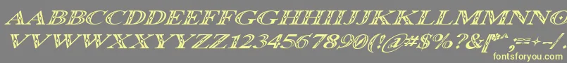 Occoluchi Italic-Schriftart – Gelbe Schriften auf grauem Hintergrund