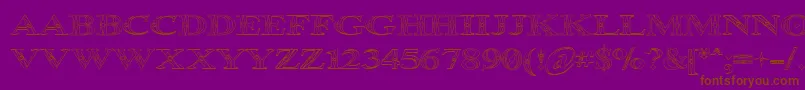 Occoluchi Outline-Schriftart – Braune Schriften auf violettem Hintergrund