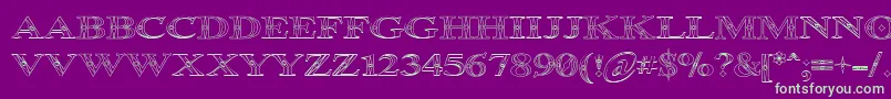 Occoluchi Outline-Schriftart – Grüne Schriften auf violettem Hintergrund