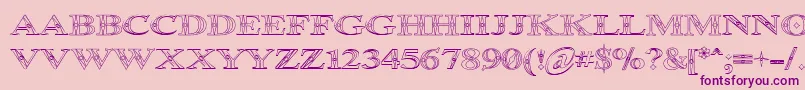 Occoluchi Outline-Schriftart – Violette Schriften auf rosa Hintergrund