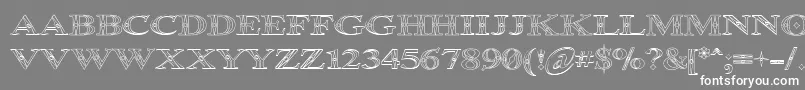 Occoluchi Outline Font – White Fonts on Gray Background