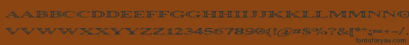 Occoluchi Spread Font – Black Fonts on Brown Background