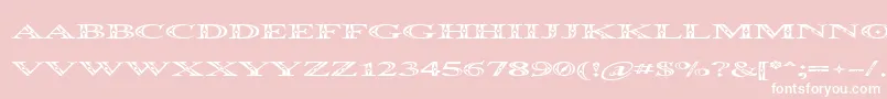 Occoluchi Spread-Schriftart – Weiße Schriften auf rosa Hintergrund