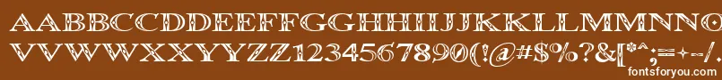 Occoluchi Font – White Fonts on Brown Background