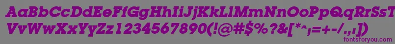 LugacBolditalic-fontti – violetit fontit harmaalla taustalla
