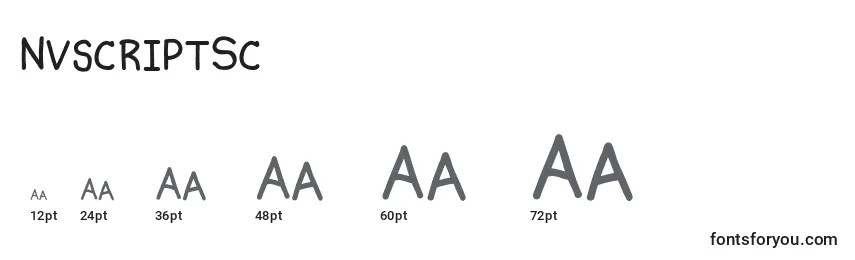 NvscriptSc Font Sizes