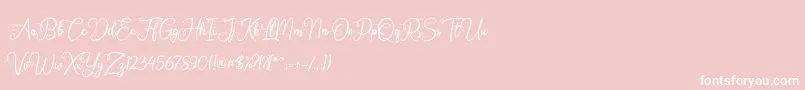 Octhovia Demo-Schriftart – Weiße Schriften auf rosa Hintergrund