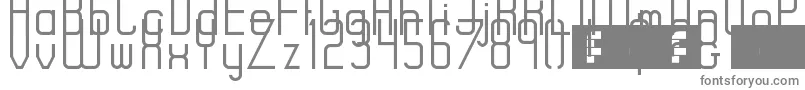 フォントRiseRegular – 白い背景に灰色の文字