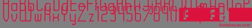 RiseRegular Font – Red Fonts on Gray Background