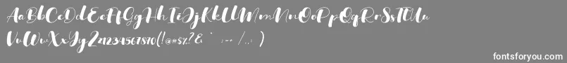 フォントOhio – 灰色の背景に白い文字