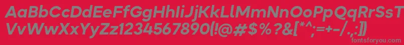 Okta BoldItalic Font – Gray Fonts on Red Background