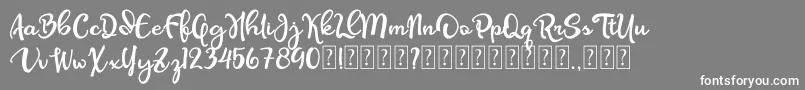 Olcigatte DEMO Font – White Fonts on Gray Background