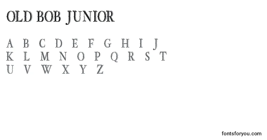 Шрифт OLD BOB JUNIOR demo – алфавит, цифры, специальные символы