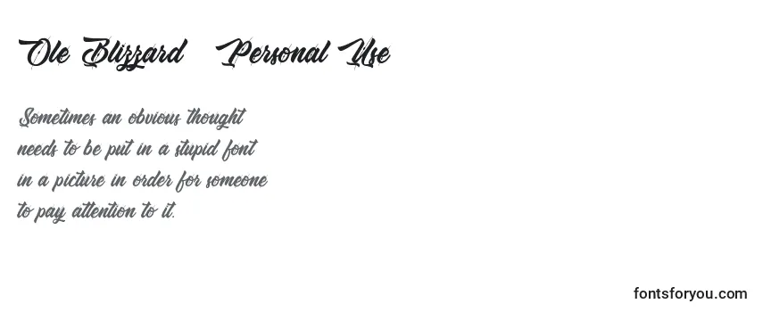 Schriftart Ole Blizzard   Personal Use