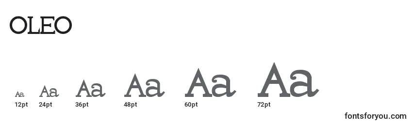 Размеры шрифта OLEO     (136006)