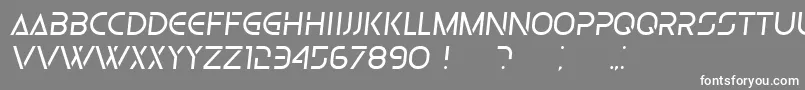 Olga LightItalic Font – White Fonts on Gray Background